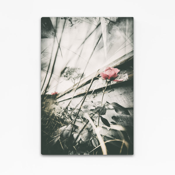 Flowers Black And White Photography Prints