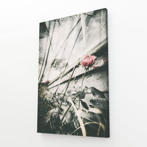 Flowers Black And White Photography Prints