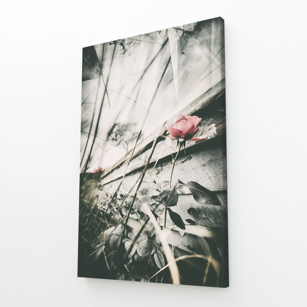 Flowers Black And White Photography Prints