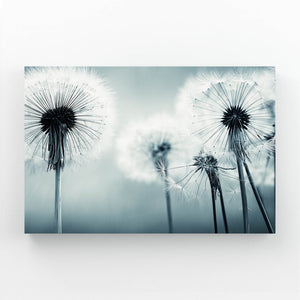 Flowers Wall Art  Photography