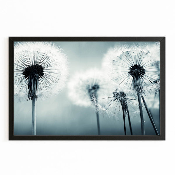 Flowers Wall Art  Photography