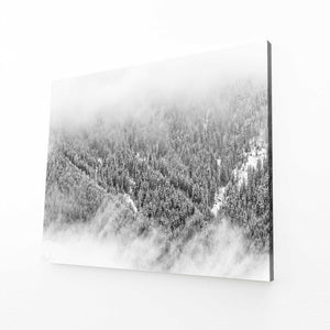 Foggy Pines Tree Art | MusaArtGallery™