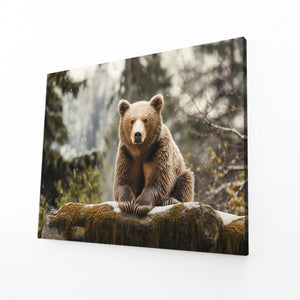 Forest Bear Wall Decor