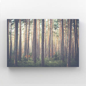 Forest Calm Tree Art | MusaArtGallery™