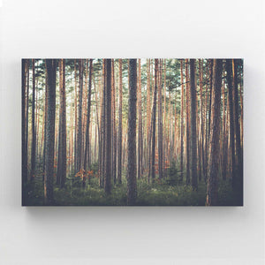 Forest Calm Tree Art | MusaArtGallery™