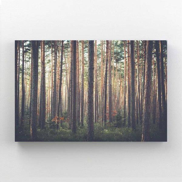 Forest Calm Tree Art | MusaArtGallery™