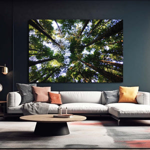 Forest Canopy Tree Art | MusaArtGallery™
