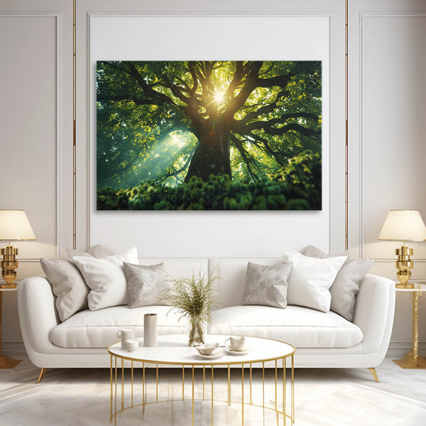 Forest Light Tree Art | MusaArtGallery™