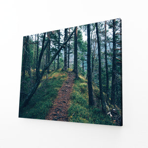 Forest Trail Tree Art | MusaArtGallery™