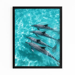 Four Dolphin Art