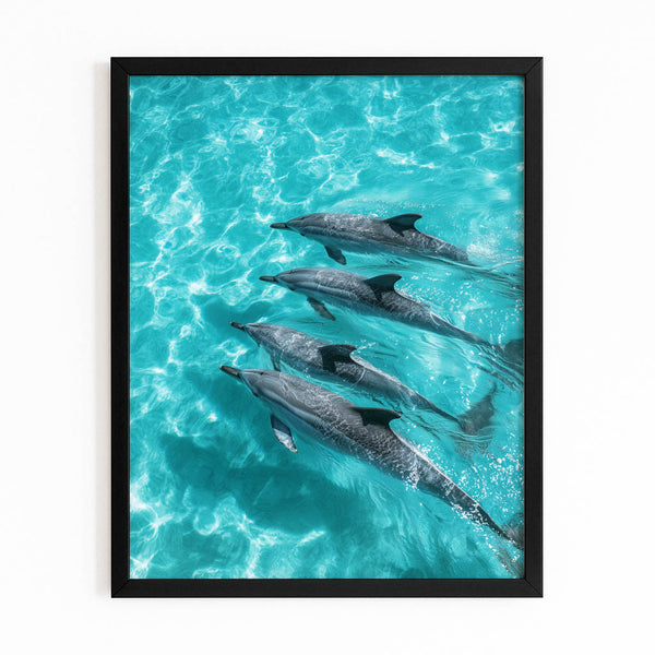 Four Dolphin Art
