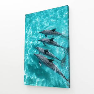 Four Dolphin Art