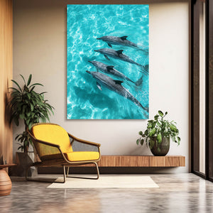 Four Dolphin Art