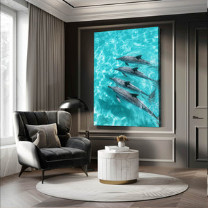 Four Dolphin Art