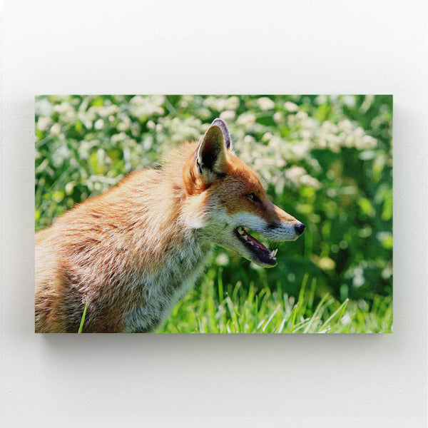  Fox Canvas Art  | MusaArtGallery™