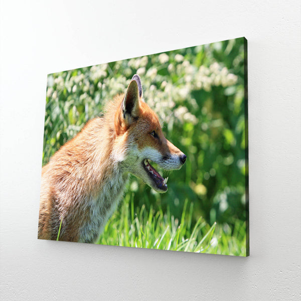  Fox Canvas Art  | MusaArtGallery™