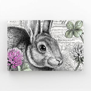 Framed Bunny Print