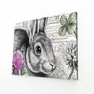 Framed Bunny Print