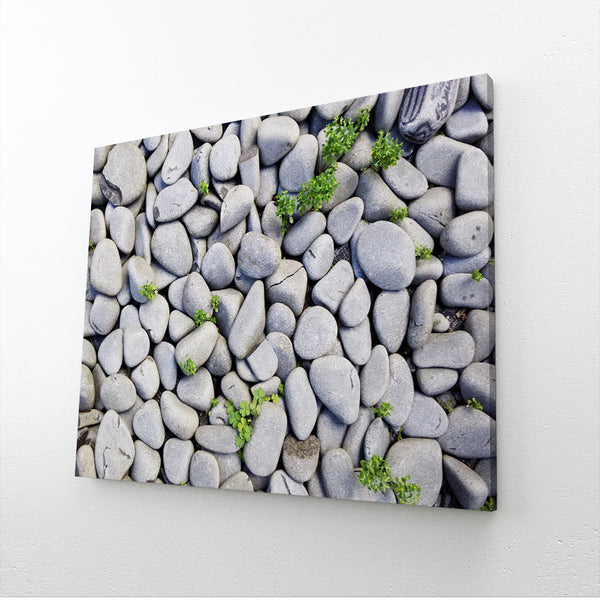 Pebble Coastal Wall Art | MusaArtGallery™