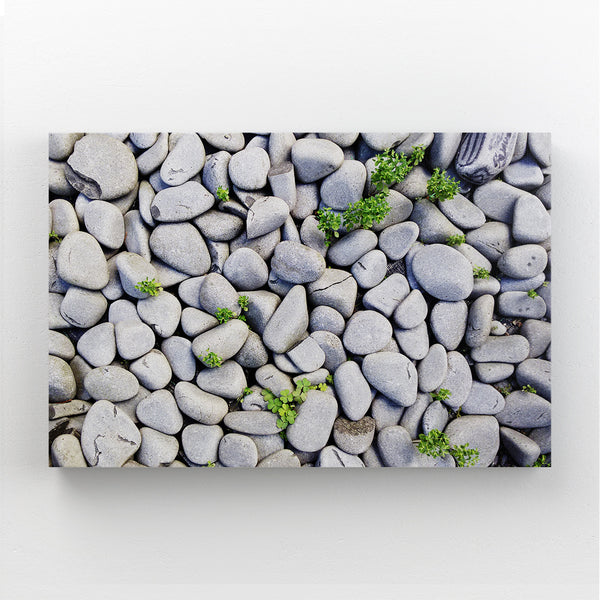 Pebble Coastal Wall Art | MusaArtGallery™