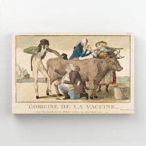 French Cow Print