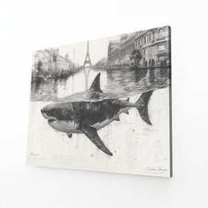 French Shark Wall Art