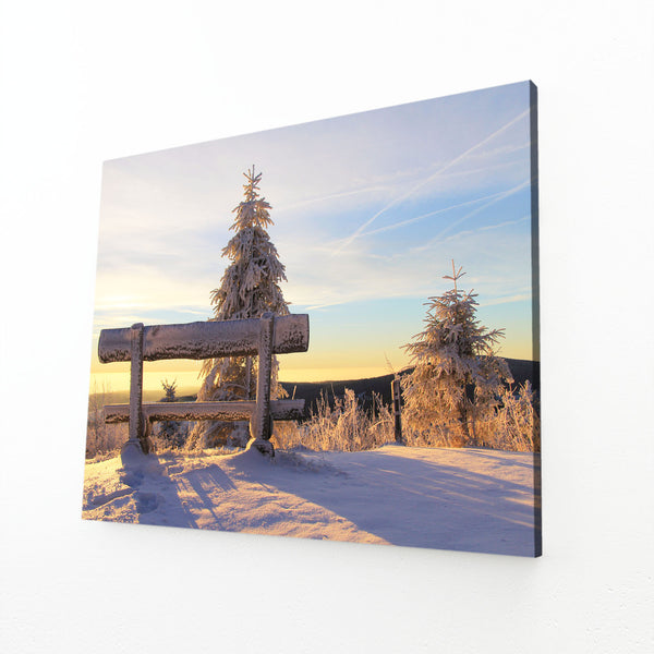 Frosty Sunrise Tree Art | MusaArtGallery™