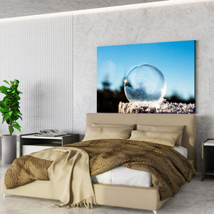 Frozen Bubble Nature Prints Wall Art | MusaArtGallery™