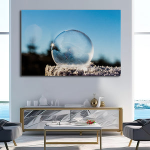Frozen Bubble Nature Prints Wall Art | MusaArtGallery™