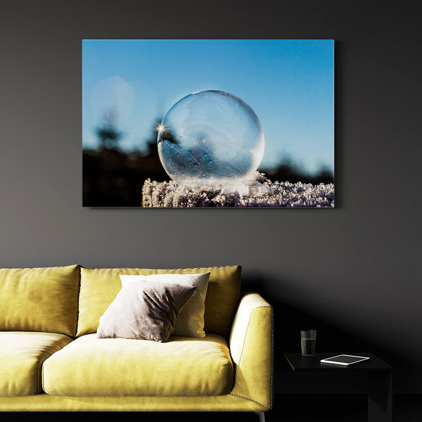 Frozen Bubble Nature Prints Wall Art | MusaArtGallery™