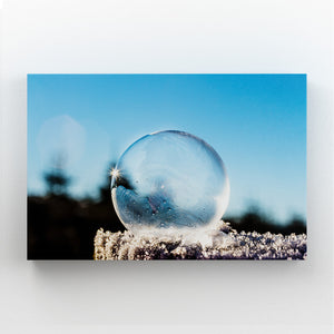Frozen Bubble Nature Prints Wall Art | MusaArtGallery™