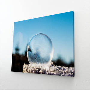 Frozen Bubble Nature Prints Wall Art | MusaArtGallery™