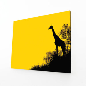 Giraffe Canvas Pictures