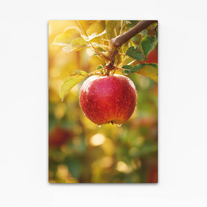 Glossy Apple Wall Art