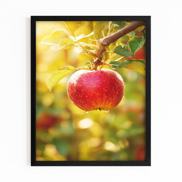 Glossy Apple Wall Art