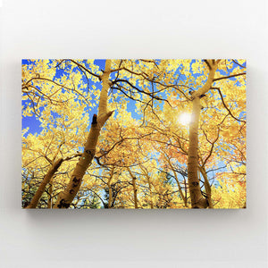 Golden Canopy Tree Art | MusaArtGallery™