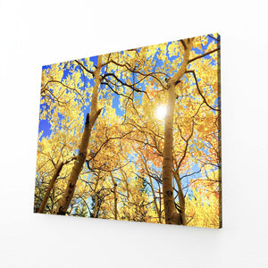 Golden Canopy Tree Art | MusaArtGallery™