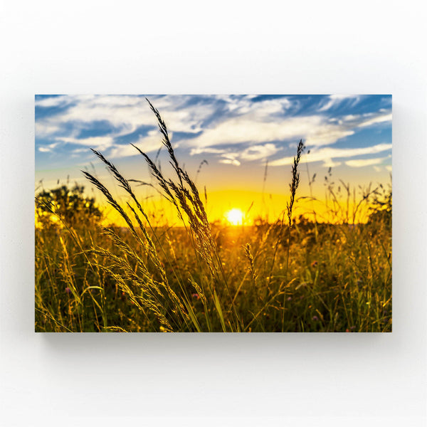 Golden Field Sunset Art | MusaArtGallery™