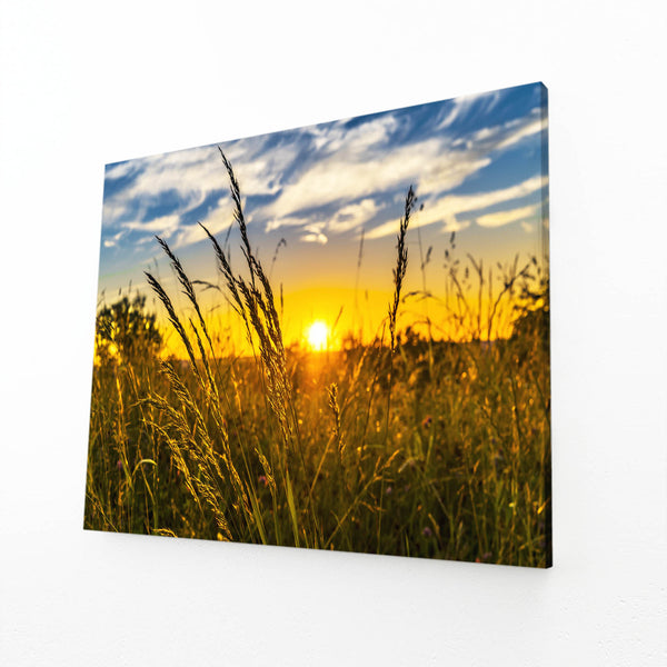 Golden Field Sunset Art | MusaArtGallery™