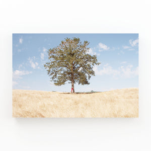 Golden Field Tree Art | MusaArtGallery™