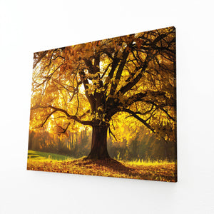 Golden Glow Tree Art | MusaArtGallery™