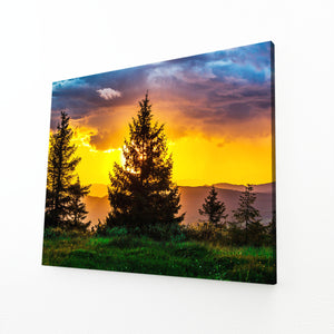 Golden Horizon Tree Art | MusaArtGallery™