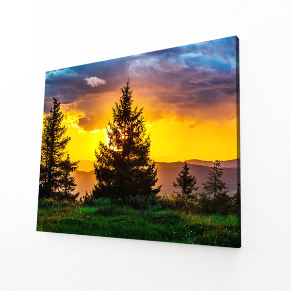 Golden Horizon Tree Art | MusaArtGallery™