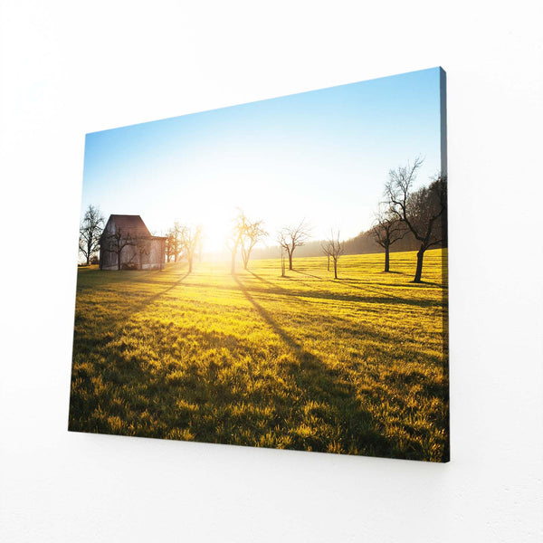 Golden Meadows Sunset Art | MusaArtGallery™