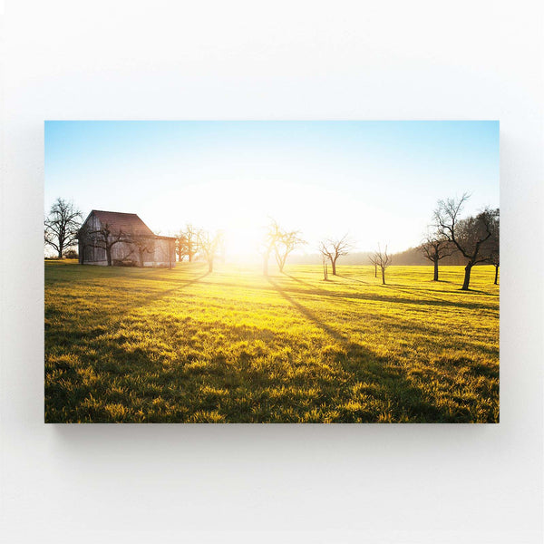 Golden Meadows Sunset Art | MusaArtGallery™