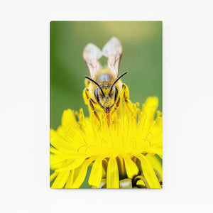 Golden Nectar Bee Art | MusaArtGallery™