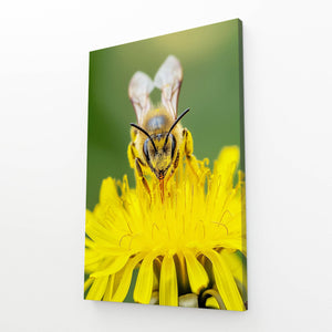 Golden Nectar Bee Art | MusaArtGallery™