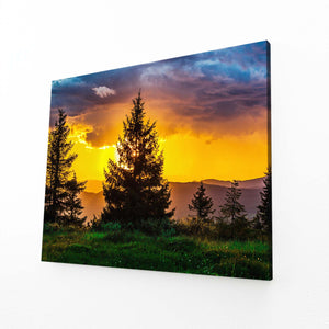 Golden Sunset Tree Art | MusaArtGallery™