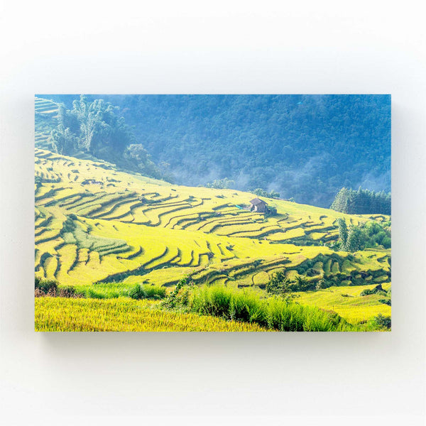 Golden Terrace Fields Landscape Wall Art | MusaArtGallery™