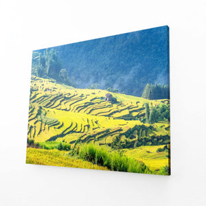 Golden Terrace Fields Landscape Wall Art | MusaArtGallery™